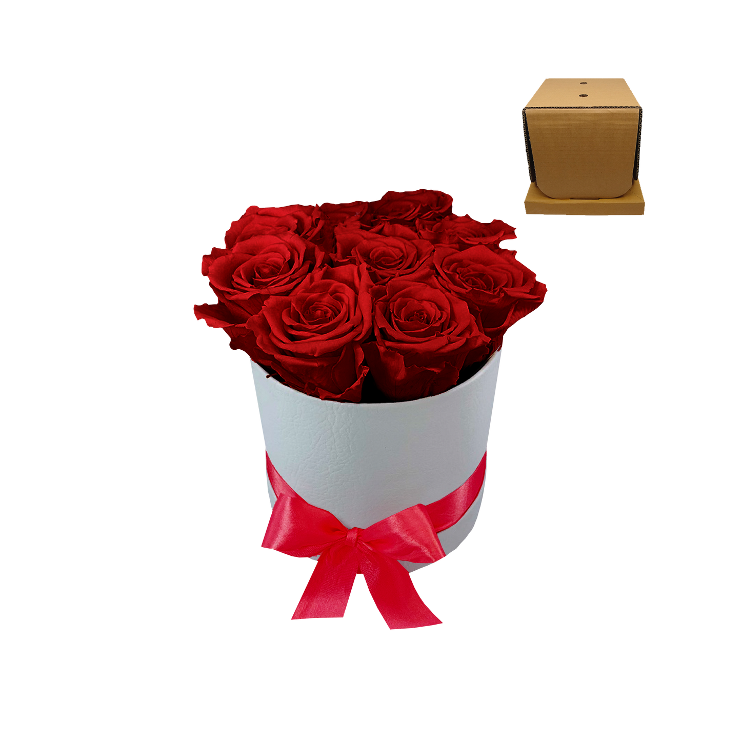 LUXURY 8 ROSEAMOR PRESERVED ROSES ARRANGEMENT - ROUND BOX-Stock