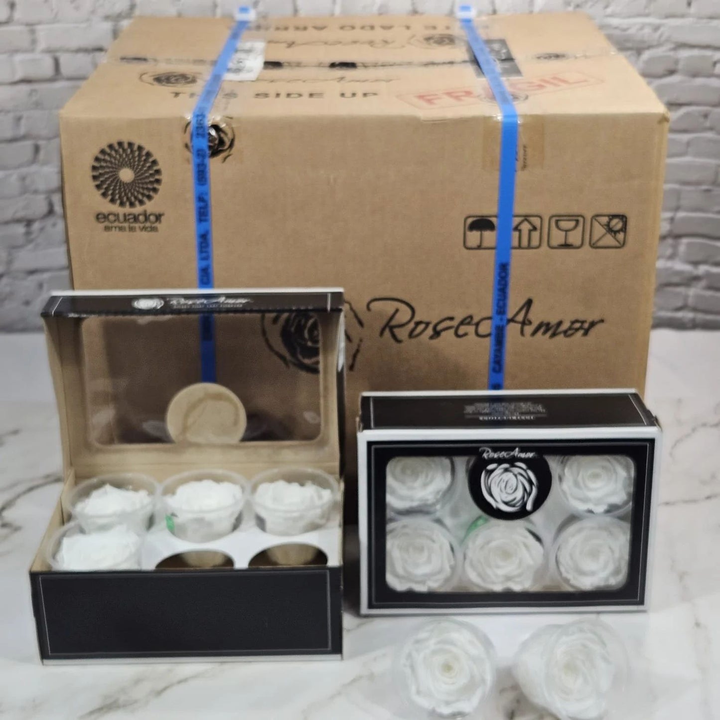 Solid White 01 Preserved Roses 10 six-packs Master Box | Ideal for Floral Arrangements, Gifts & Special Occasion Stock