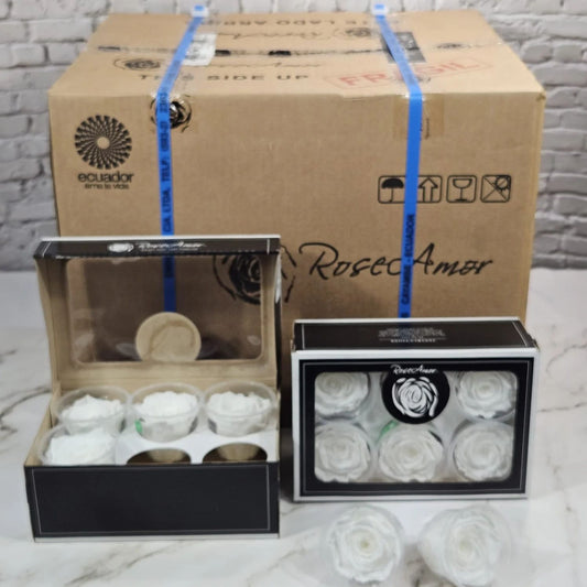 Solid White 01 Preserved Roses 10 six-packs Master Box | Ideal for Floral Arrangements, Gifts & Special Occasion Stock
