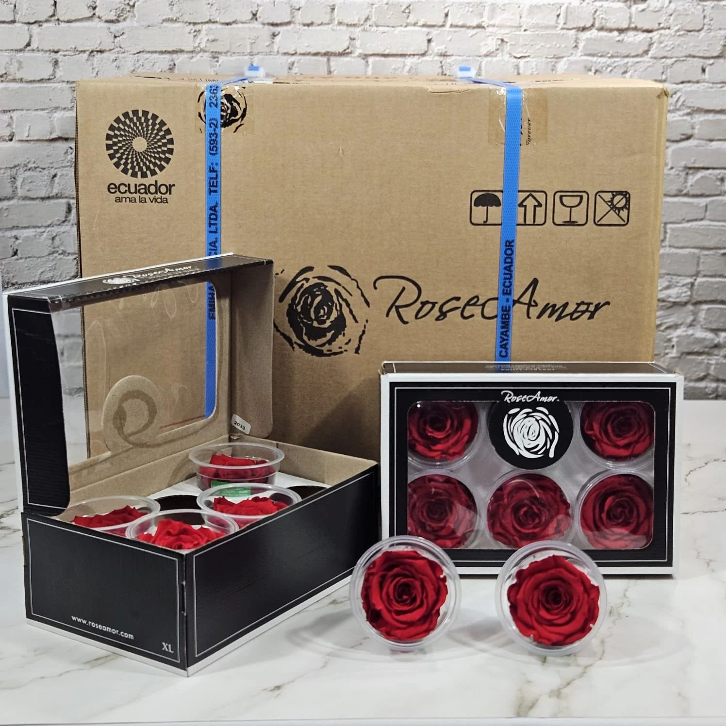Red Preserved Roses Box Solid Red 02 Preserved Roses 20 six-packs Master Box | Ideal for Floral ...