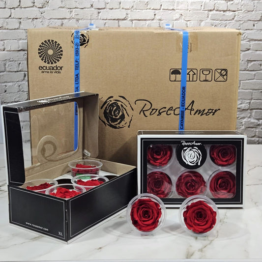 Solid Red 02 Preserved Roses 20 six-packs Master Box | Ideal for Floral Arrangements, Gifts & Special Occasion Stock