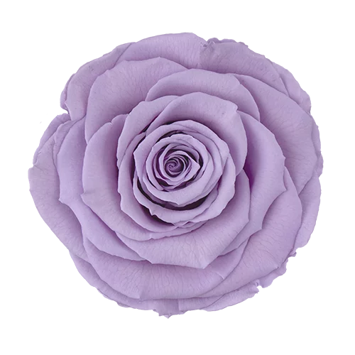LUXURY 1 PRESERVED ROSE ARRANGEMENT HEART - GIFT PU LEATHER HEART BOX