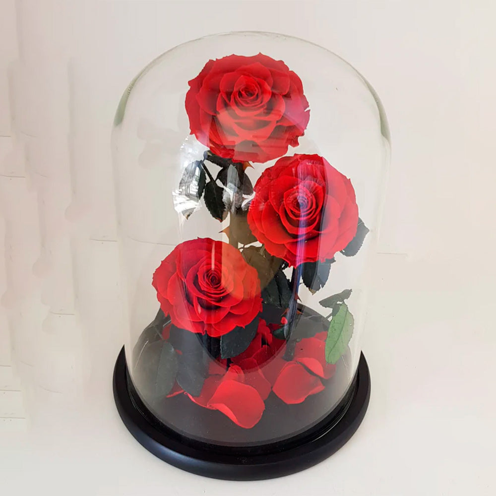 LUXURY 3 PRESERVED ROSE ARRANGEMENT BELLA - DOME GIFT BOX