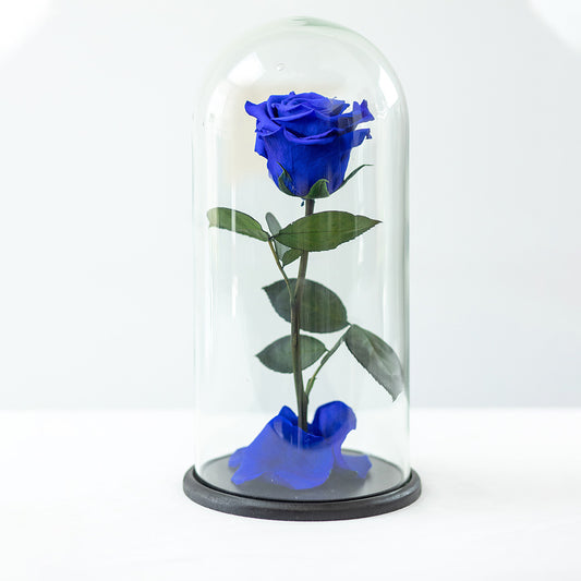 LUXURY 1 PRESERVED ROSE ARRANGEMENT XL - DOME GIFT BOX