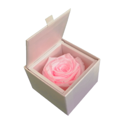 LUXURY 1 PRESERVED ROSE ARRANGEMENT XL - GIFT PU LEATHER BOX - PACK