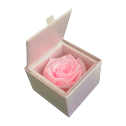 ARREGLO DE LUJO CON 1 ROSA PRESERVADA XL - CAJA DE REGALO DE CUERO PU - PAQUETE