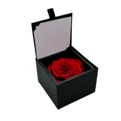 LUXURY 1 PRESERVED ROSE ARRANGEMENT XL - GIFT PU LEATHER BOX - PACK