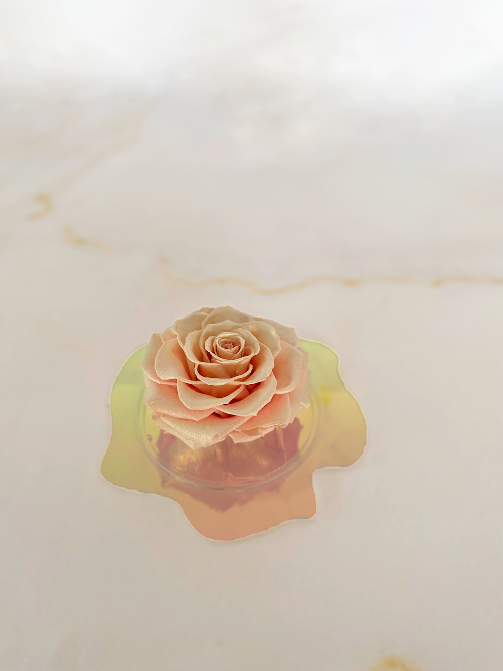 LUXURY 1 PRESERVED ROSE ARRANGEMENT XXL BONITA - ACRYLIC GIFT BOX