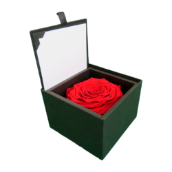 LUXURY 1 PRESERVED ROSE ARRANGEMENT XXL - GIFT PU LEATHER BOX - BMade