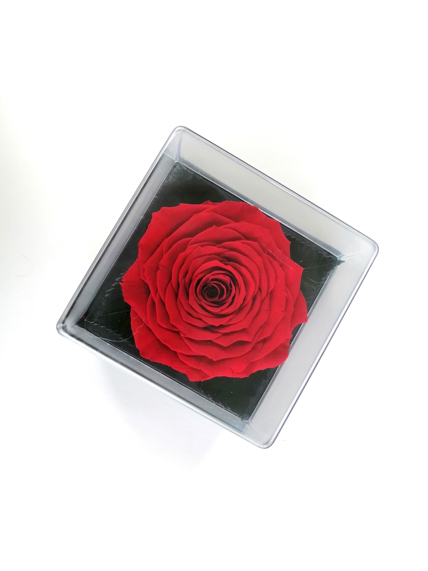 LUXURY 1 PRESERVED ROSE ARRANGEMENT - ACRYLIC GIFT BOX