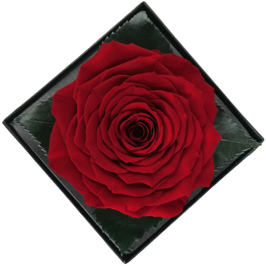 LUXURY 1 PRESERVED ROSE ARRANGEMENT - ACRYLIC GIFT BOX - BMade