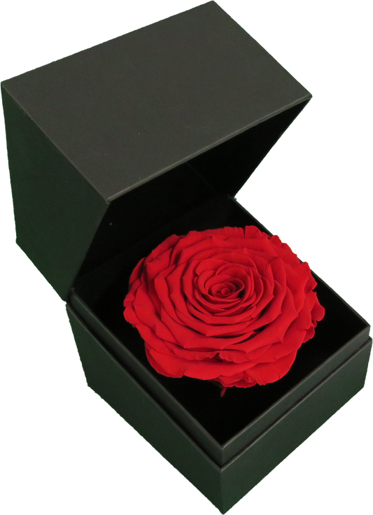 LUXURY 1 PRESERVED ROSE ARRANGEMENT XL - GIFT BOX