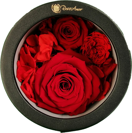 LUXURY 1 PRESERVED ROSE ARRANGEMENT XL - CHANCHITO GIFT BOX