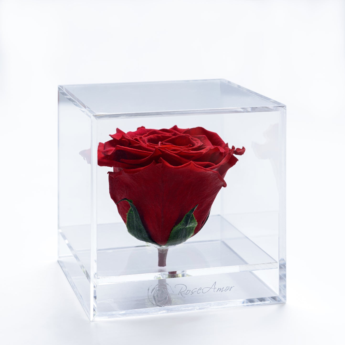 LUXURY 1 PRESERVED ROSE ARRANGEMENT XL - ACRYLIC GIFT PU LEATHER BOX