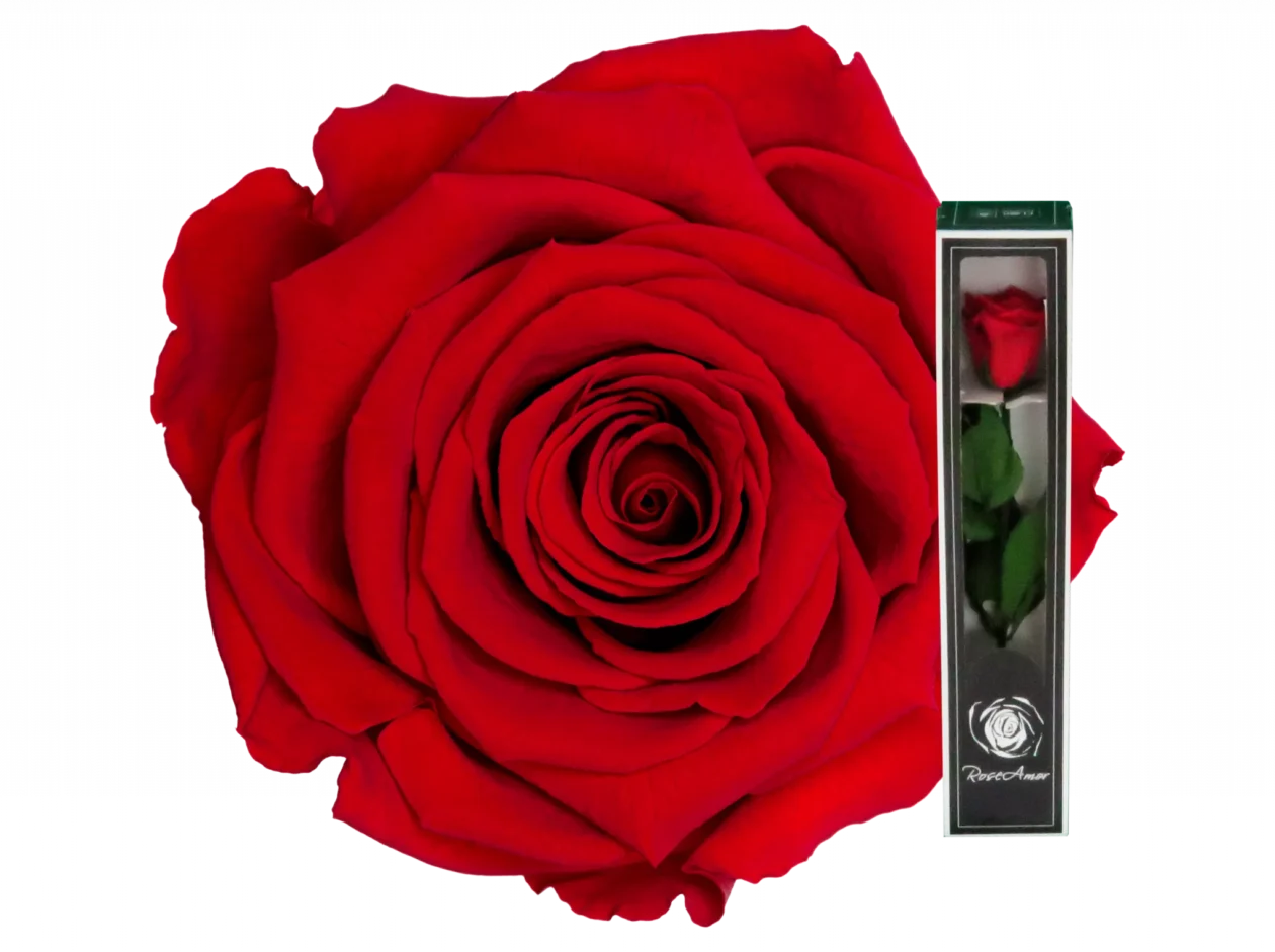 Luxury floral arrangements boxes