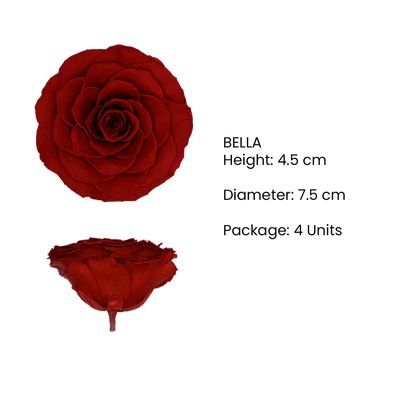 BELLA Preserved Roses Zebra - Pack 4 - BMade