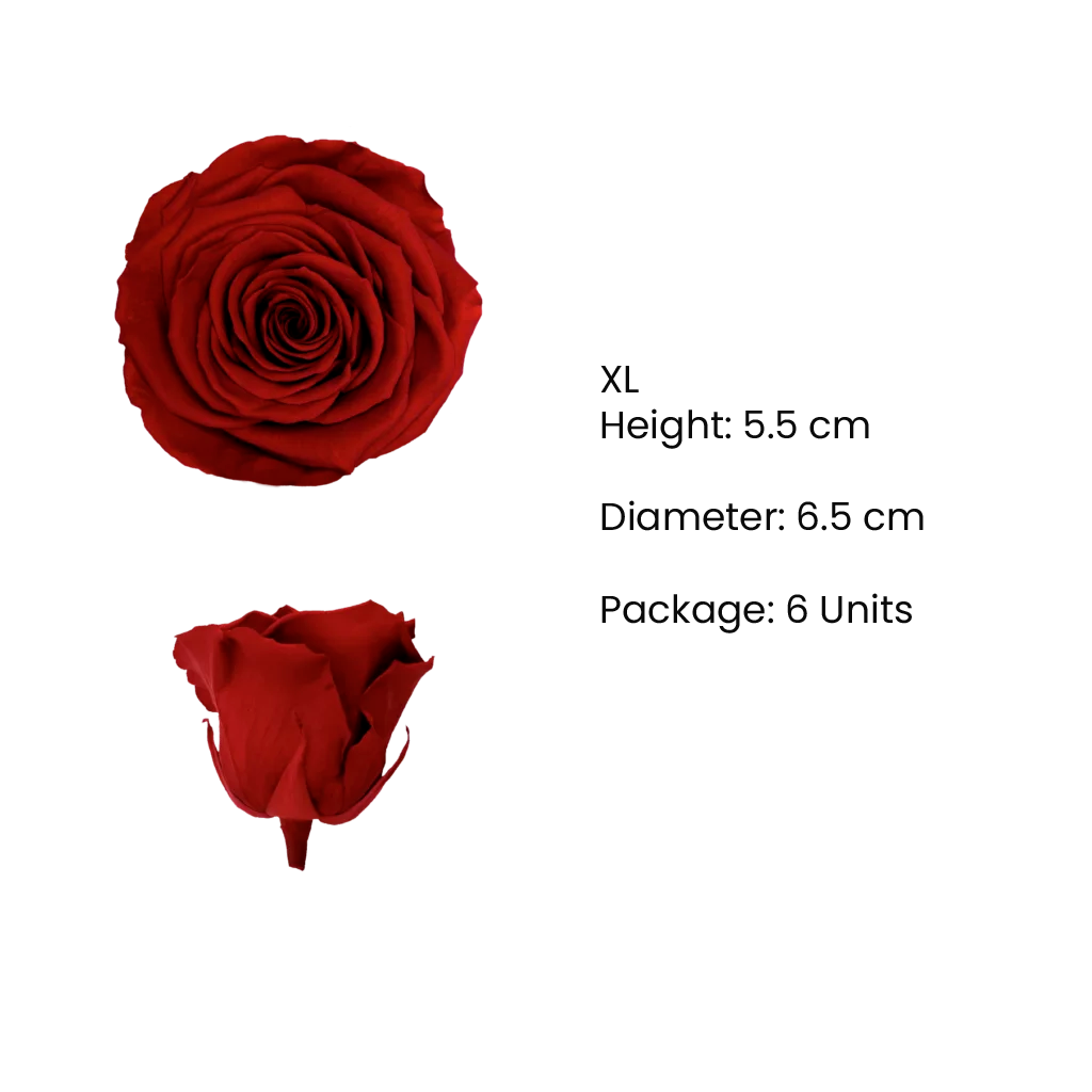 XL Preserved Roses Satin - Pack of 6