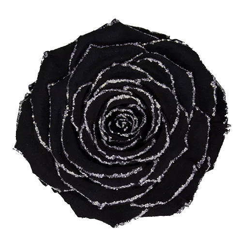 BELLA Preserved Roses Glitter - Pack 4