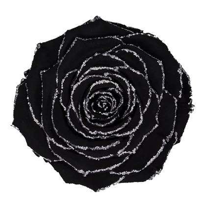 BELLA Preserved Roses Glitter - Pack 4 - BMade