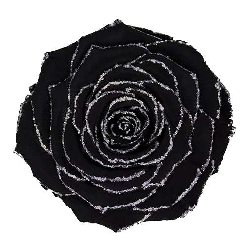 XL Preserved Roses Glitter - Pack of 6