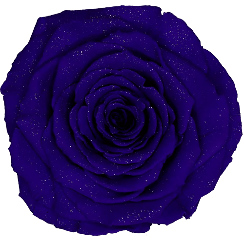 BONITA Preserved Roses Diamond - Pack 1