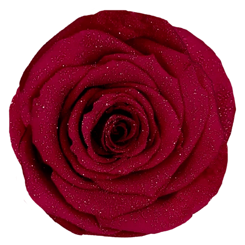 BELLA Preserved Roses Diamond - Pack 4