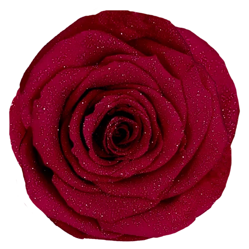 Rosas preservadas LL+ Diamante - Paquete de 6