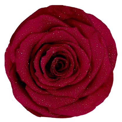 LL+ Preserved Roses Diamond - Pack of 6 - BMade