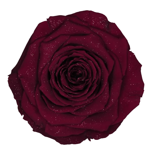 Rosas preservadas XL en forma de diamante - Paquete de 6