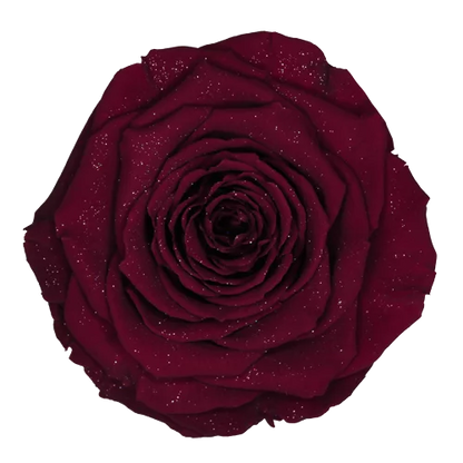 LL+ Preserved Roses Diamond - Pack of 6 - BMade