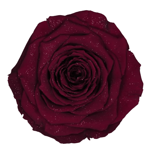 BONITA Preserved Roses Diamond - Pack 1