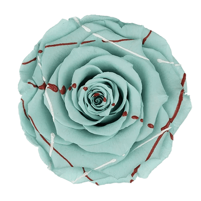 BELLA Preserved Roses Festiva - Pack 4 - BMade