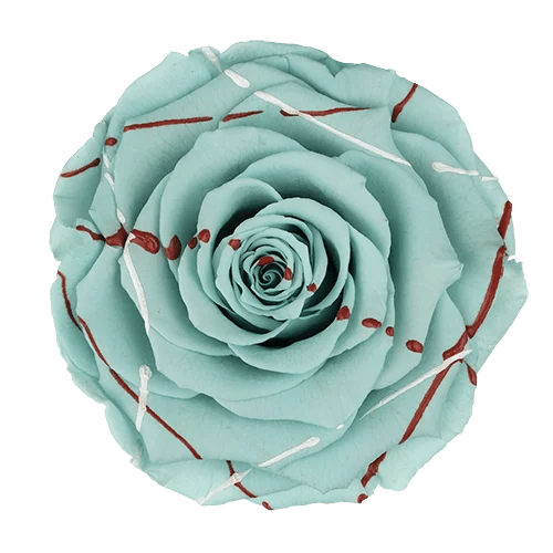 Rosas preservadas BELLA Festiva - Paquete de 4