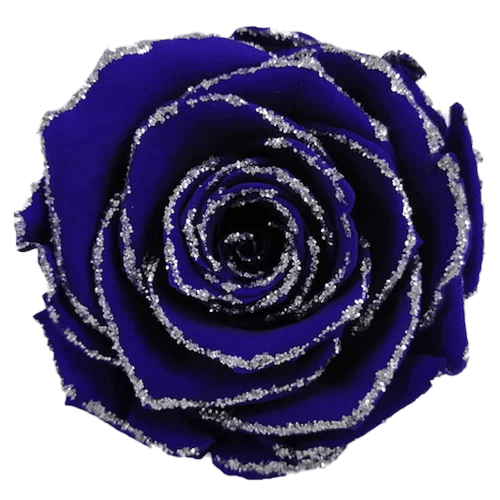 BELLA Preserved Roses Glitter - Pack 4