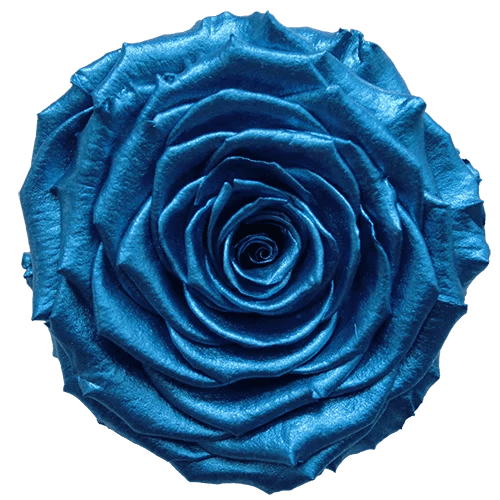 BELLA Preserved Roses Metallic - Pack 4