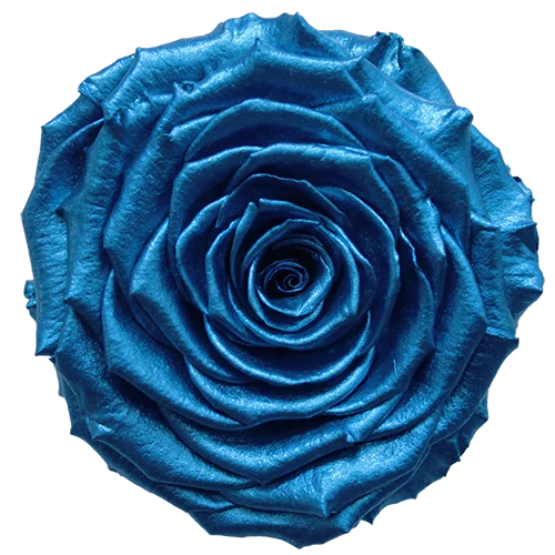 XL Preserved Roses Metallic - Pack of 6