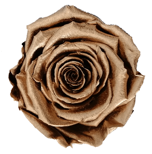 Rosas preservadas BELLA metalizadas - Paquete de 4