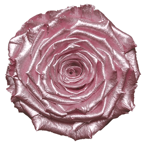 Rosas preservadas BELLA metalizadas - Paquete de 4