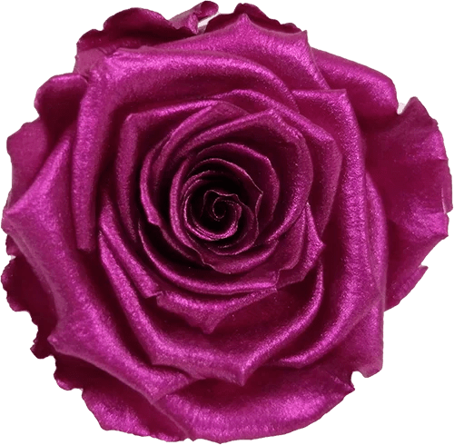 Rosas preservadas BELLA metalizadas - Paquete de 4