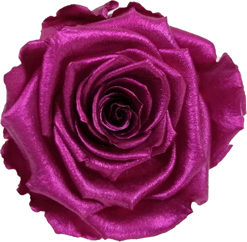 Rosas preservadas LL+ metalizadas - Paquete de 6