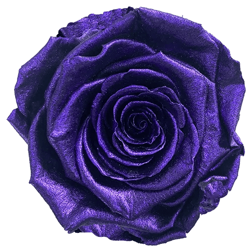 BELLA Preserved Roses Metallic - Pack 4