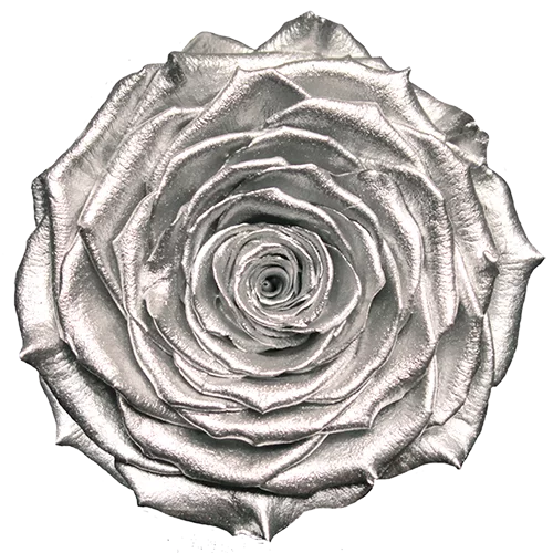 LL+ Preserved Roses Metallic - Pack of 6