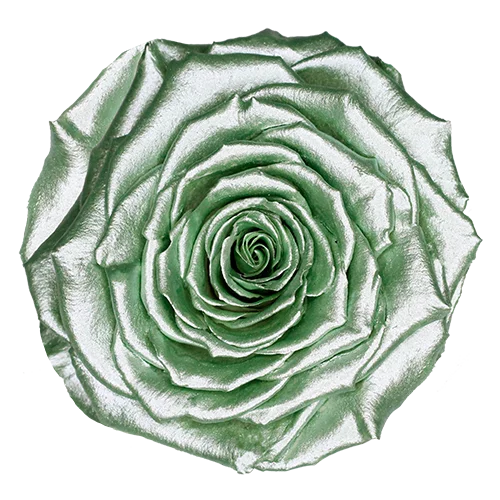 XL Preserved Roses Metallic - Pack of 6