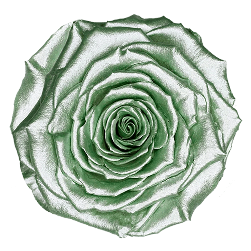 BELLA Preserved Roses Metallic - Pack 4