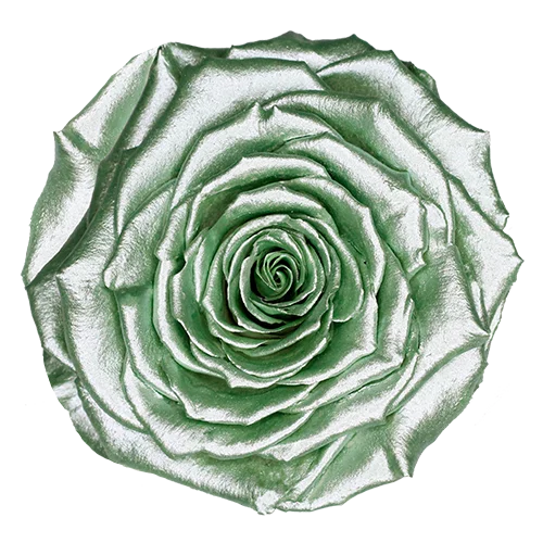 LL+ Preserved Roses Metallic - Pack of 6