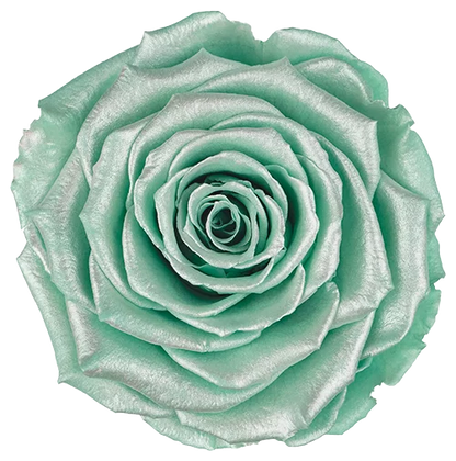 LL+ Preserved Roses Satin - Pack of 6 - BMade