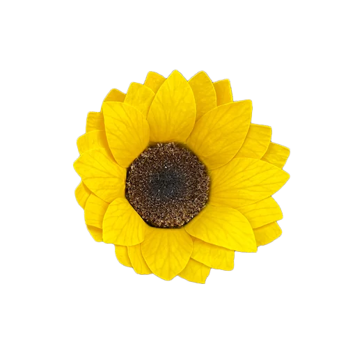 Luxury floral arrangements boxes