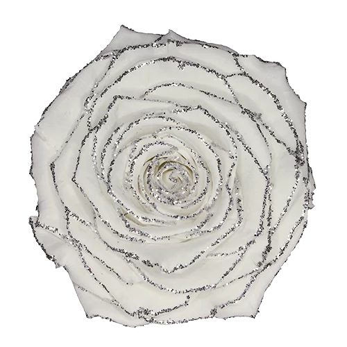 XL Preserved Roses Glitter - Pack of 6