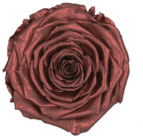 Rosas preservadas BELLA metalizadas - Paquete de 4