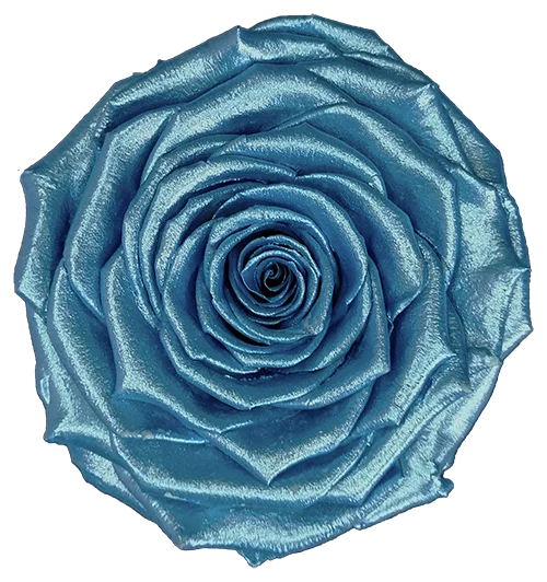 XL Preserved Roses Metallic - Pack of 6